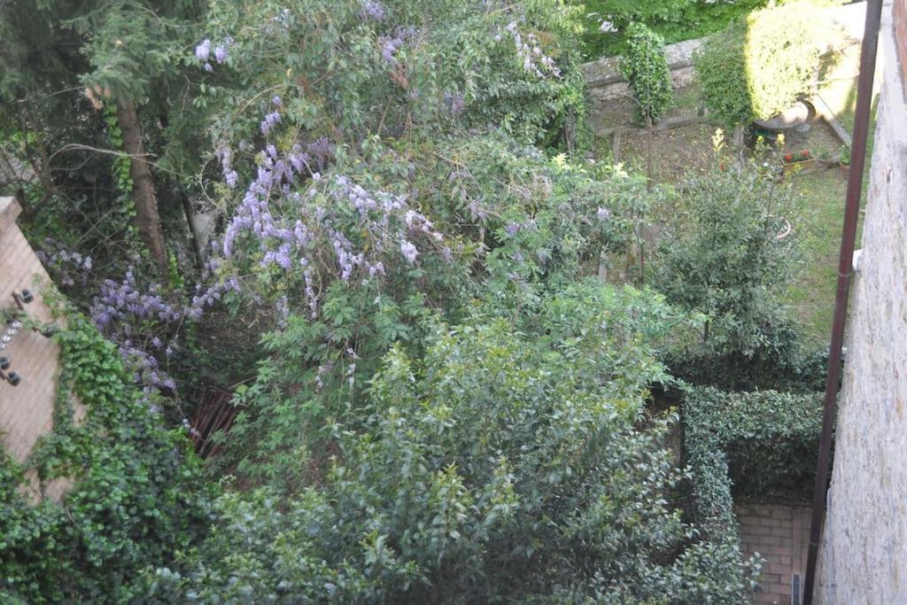 Il Profumo Del Lauro Apartamento Perúgia Exterior foto