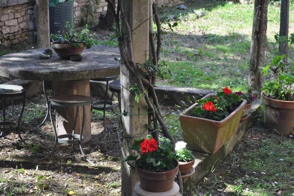 Il Profumo Del Lauro Apartamento Perúgia Exterior foto